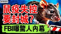 私密：[ID: j5qyH4MpFhM] Youtube Automatic